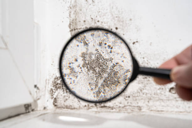 Best Mold Odor Removal Services  in Gettysburg, PA